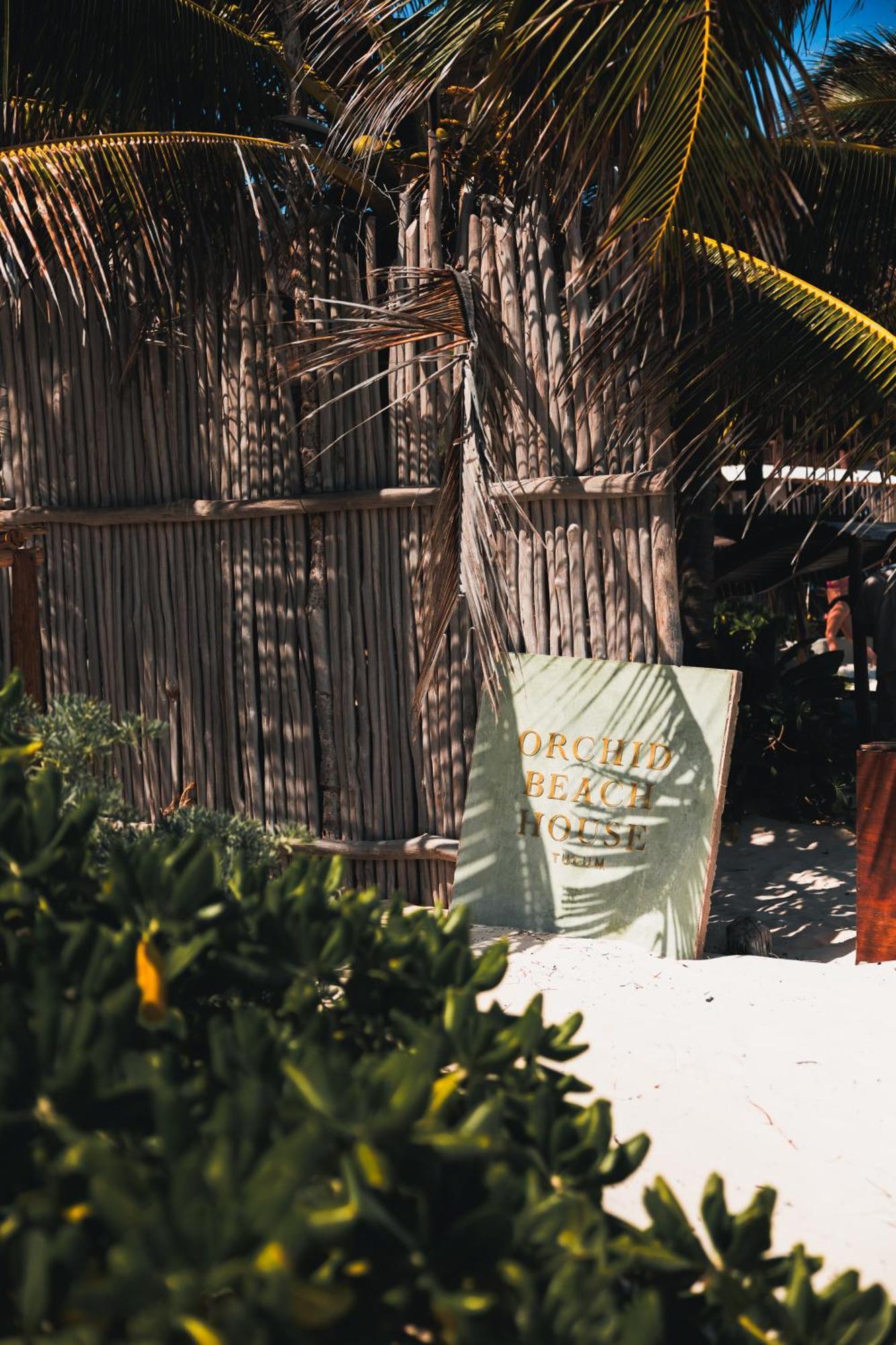 Orchid House Tulum Beach (Adults Only) Zewnętrze zdjęcie